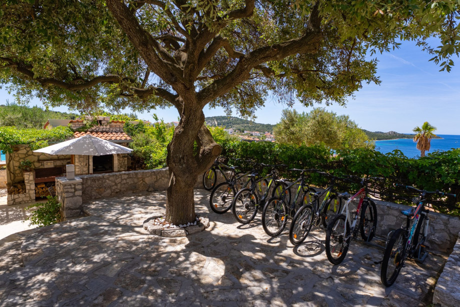 Explore the surrounding neighborhood using the 7 complimentary bicycles.