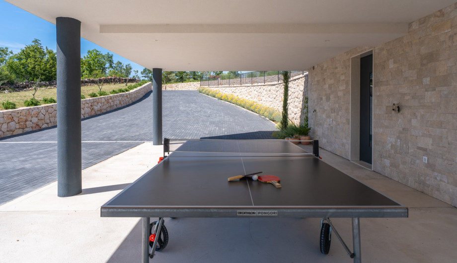 Engage in friendly competition with loved ones at the billiards and table tennis area