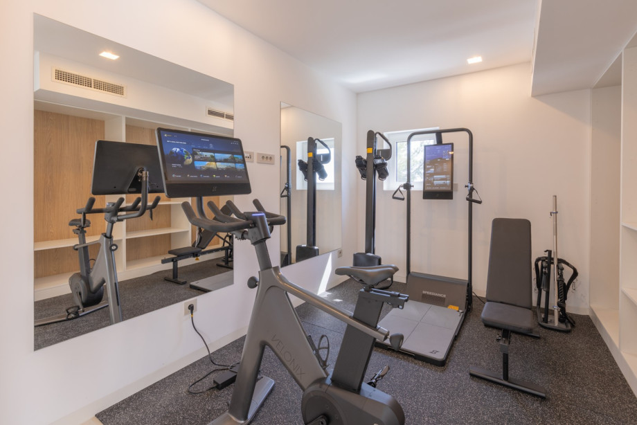 Privates Smart-Fitnessstudio ausgestattet mit Speediance-Trainingsgeräten, Cardiogeräten und einem Functional-Workout-Bereich