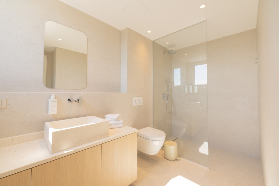 An en-suite bathroom with a shower, a sink, and a toilet
