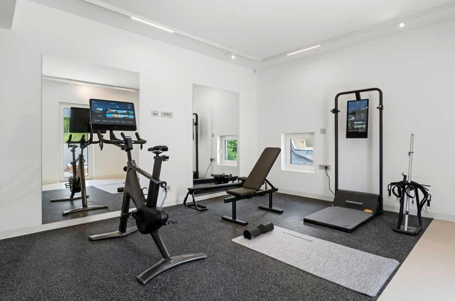 Privates Smart-Fitnessstudio ausgestattet mit Speediance-Trainingsgeräten, Cardiogeräten und einem Functional-Workout-Bereich