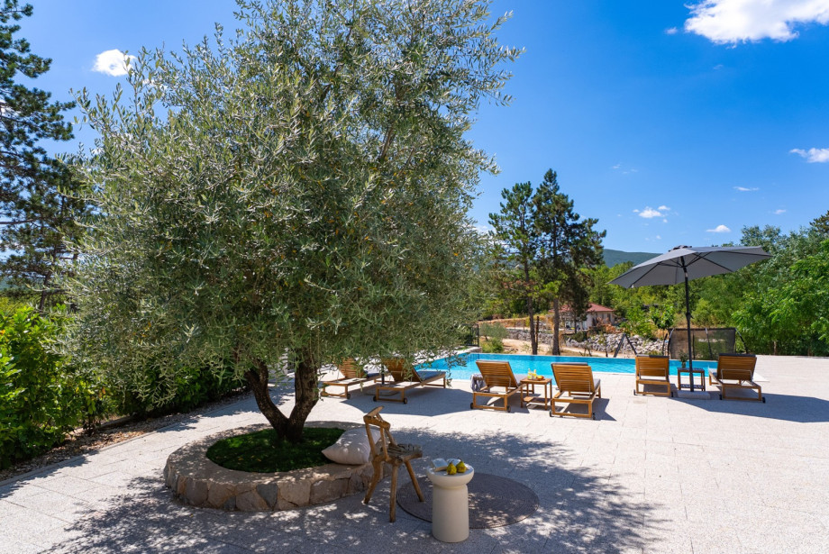 Lush green serenity surrounds the villa on a private plot.